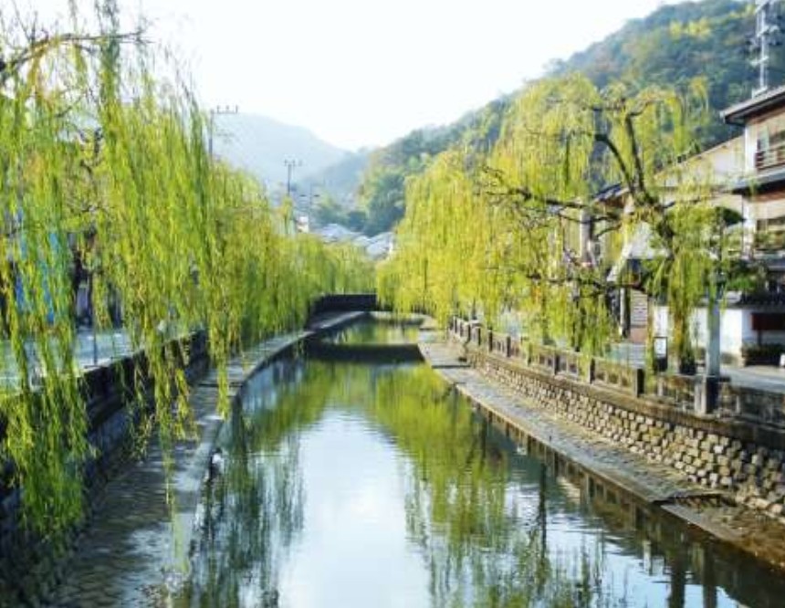 太金國際旅行社的旅遊行程介紹圖片